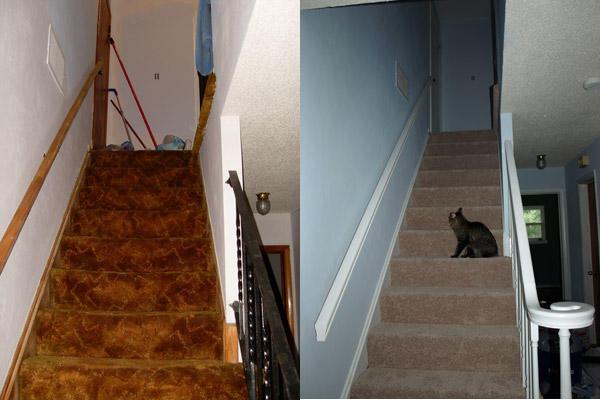 Before and after from the bottom...