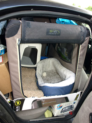 Our back seat, taken over by Neko's riding space